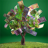 money on tree
